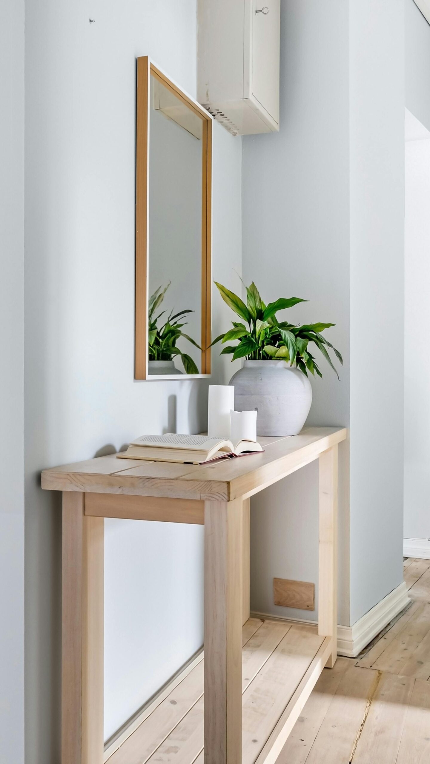 Bright hallway interior featuring minimalist decor, a mirror, and lush plants for a serene ambiance.